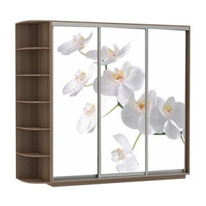 Шкаф Экспресс со стеллажом, 2100х600х2200, Орхидея белая/шимо темный в Белгороде