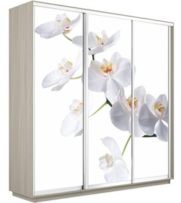 Шкаф 3-х створчатый Экспресс 2400х600х2200, Орхидея белая/шимо светлый в Белгороде