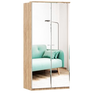 Шкаф двухстворчатый с 2-мя зеркалами Фиджи, 659.238, цвет белый в Белгороде