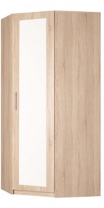 Угловой распашной шкаф Реал (YR-230х1034 (3)-М Вар.1), с зеркалом в Старом Осколе - предосмотр