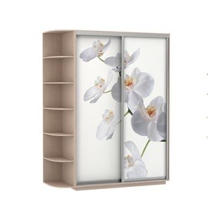 Шкаф Экспресс 1900x600x2200, со стеллажом, Орхидея белая/дуб молочный в Белгороде