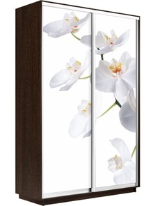 Шкаф 2-х створчатый Экспресс 1400x600x2400, Орхидея белая/венге в Белгороде