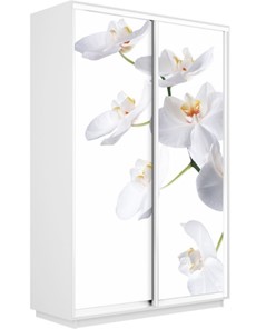 Шкаф-купе двухдверный Экспресс 1600x600x2200, Орхидея белая/белый снег в Старом Осколе