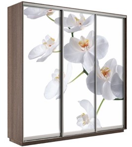 Шкаф 3-створчатый Экспресс 1800х600х2200, Орхидея бела/шимо темный в Старом Осколе - предосмотр