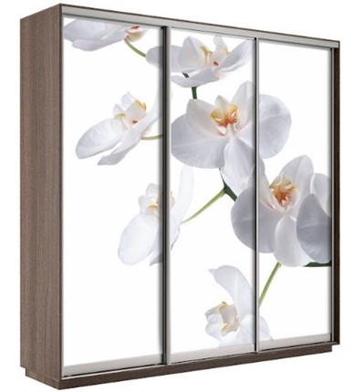 Шкаф 3-створчатый Экспресс 1800х600х2200, Орхидея бела/шимо темный в Старом Осколе - изображение