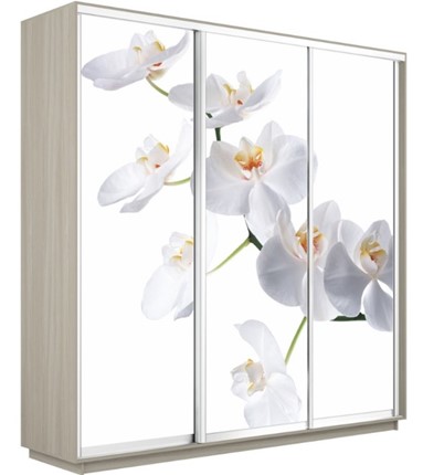 Шкаф 3-х створчатый Экспресс 2400х600х2400, Орхидея белая/шимо светлый в Белгороде - изображение