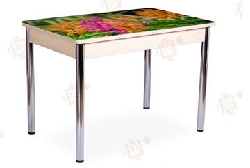 Кухонный стол раскладной Айсберг-02 СТФ, Дуб ЛДСП/полевые цветы/ноги хром прямые в Белгороде