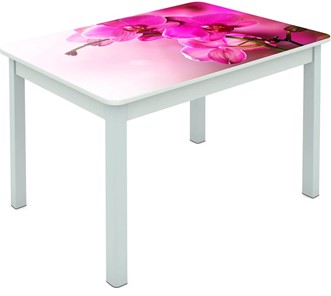 Обеденный стол Мюнхен исп. 1 ноги метал. крашеные №23 Фотопечать (Цветы №16) в Белгороде