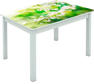 Обеденный стол Мюнхен исп. 1 ноги метал. крашеные №23 Фотопечать (Цветы №45) в Белгороде