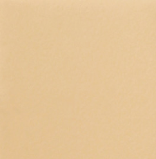 Стул Роджер Эконом С102-2(стандартная покраска) в Старом Осколе - изображение 9