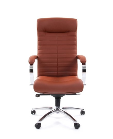 Офисное кресло CHAIRMAN 480 Экокожа Terra 111 (коричневая) в Белгороде - изображение 1