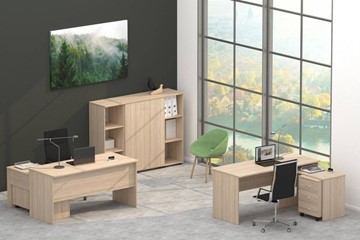 Набор мебели в офис Twin в Белгороде - предосмотр 4