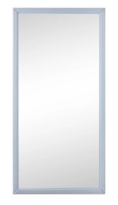 Зеркало навесное Ника (Серый) 119,5 см x 60 см в Белгороде