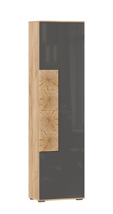 Шкаф одностворчатый Фиджи с декоративными накладками 659.300, Дуб Золотой/Антрацит в Белгороде - изображение