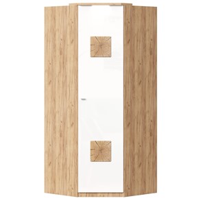 Шкаф угловой 45 с декоративной накладкой Фиджи, 659.248, белый в Белгороде - предосмотр