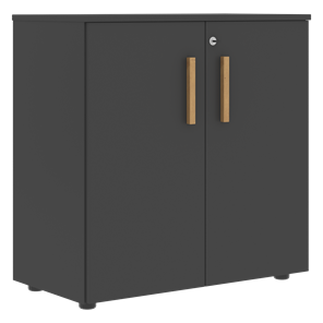 Низкий шкаф с малыми дверцами широкий FORTA Черный Графит FLC_80.1_Z__grafit.png FLC 80.1(Z) (798х404х801) в Белгороде