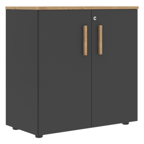 Шкаф широкий низкий с малыми дверцами FORTA Графит-Дуб Гамильтон  FLC 80.1(Z) (798х404х801) в Белгороде